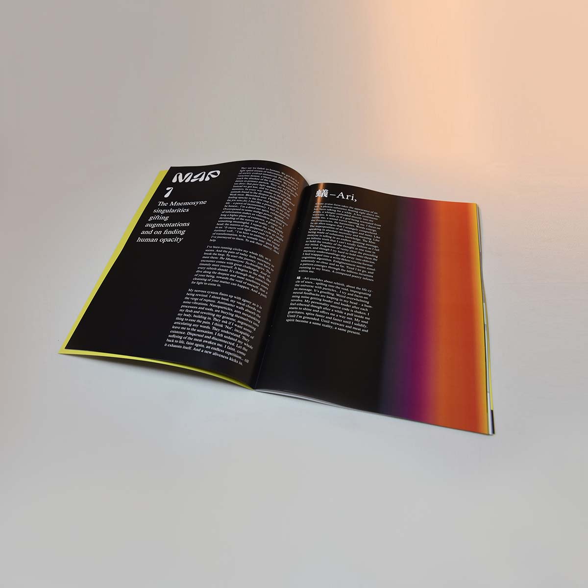 Celestial Reactors book, text by Johan Delétang, graphics alpha_rats